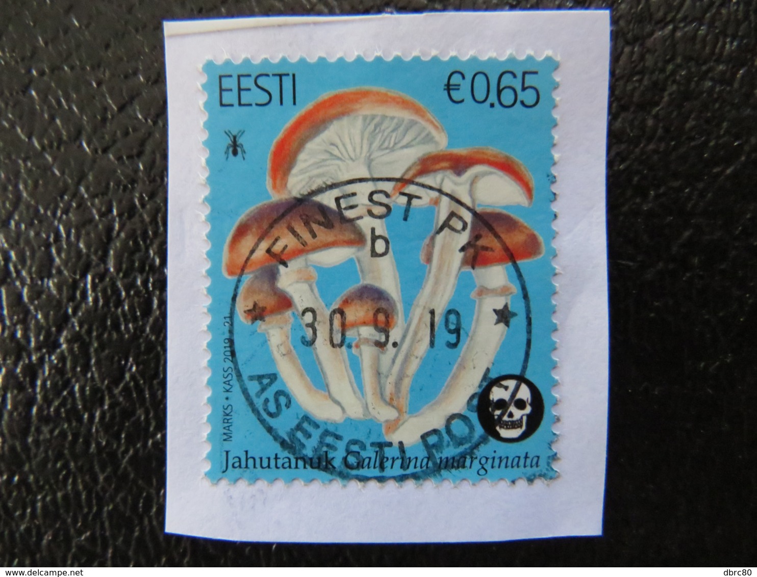 Estonia, Mushrooms, Flora, 2019, With Postal Stamp - Estonia