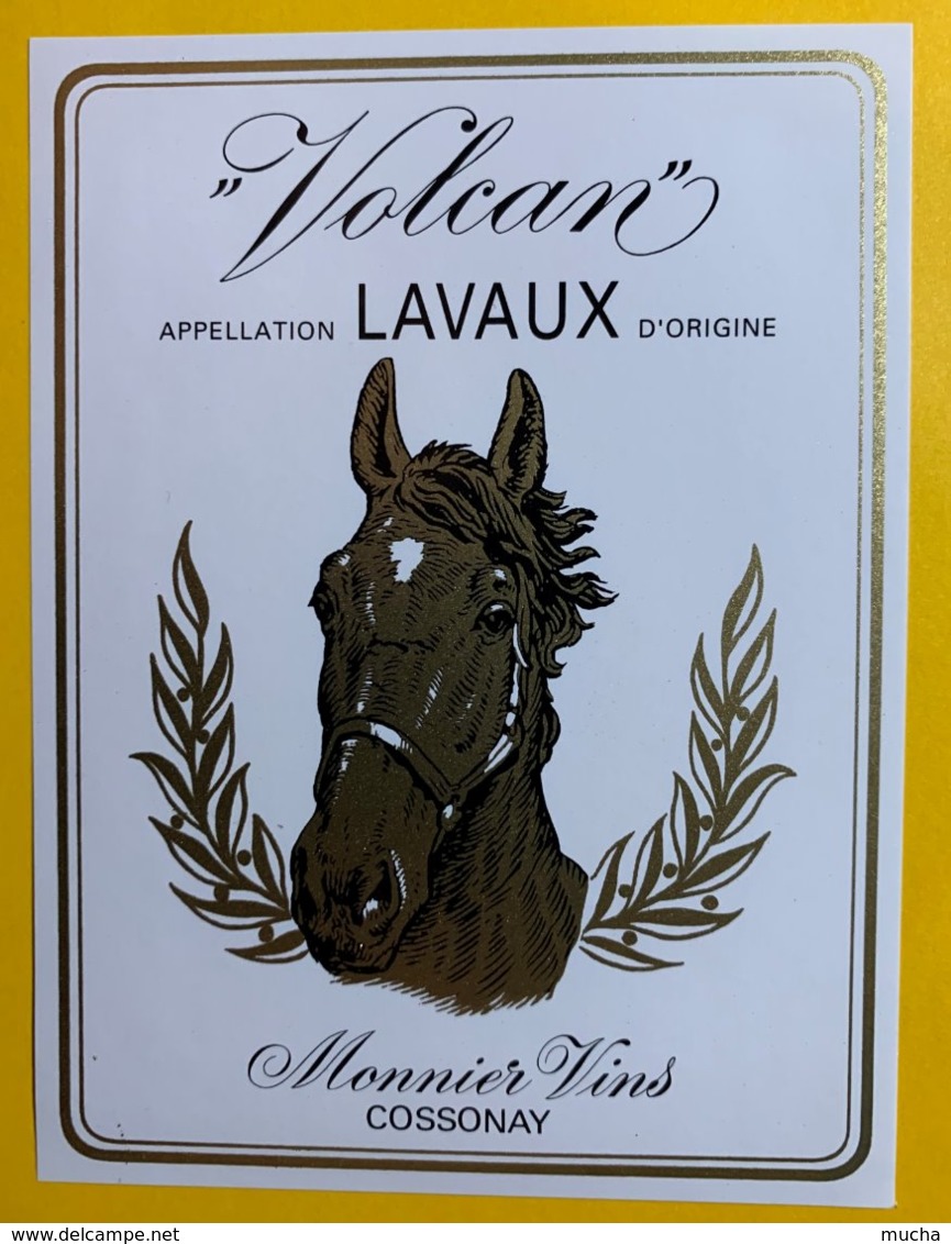 12023 - Volcan Lavaux Suisse - Pferde