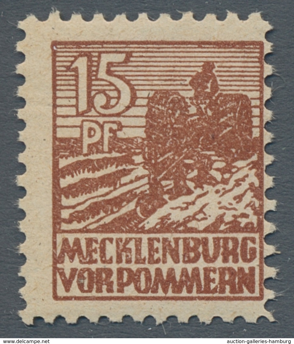 Sowjetische Zone - Mecklenburg-Vorpommern: 1945-46, Postfrische Und Gestempelte Spezialsammlung Im L - Sonstige & Ohne Zuordnung