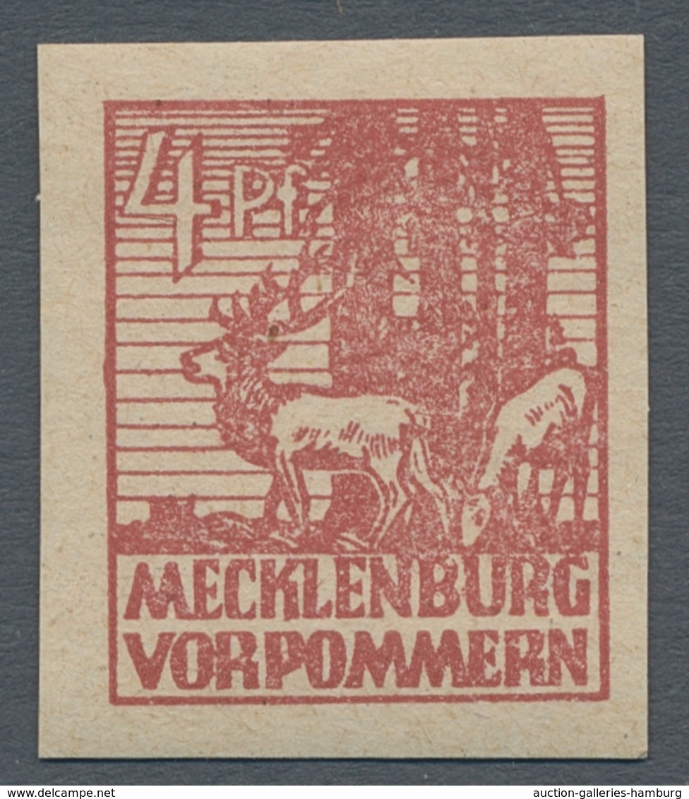 Sowjetische Zone - Mecklenburg-Vorpommern: 1945-46, postfrische und gestempelte Spezialsammlung im L