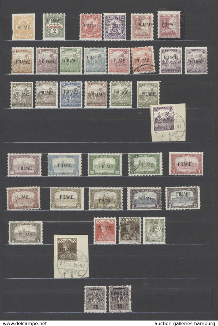 Fiume: 1918/1924, Mint And Used Collection On Large Stockcards, Well Sorted And Filled Throughout Wi - Fiume