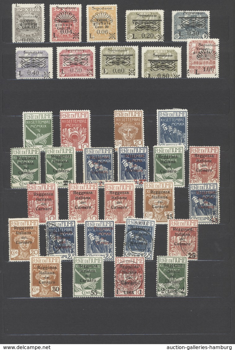 Fiume: 1918/1924, Mint And Used Collection On Large Stockcards, Well Sorted And Filled Throughout Wi - Fiume