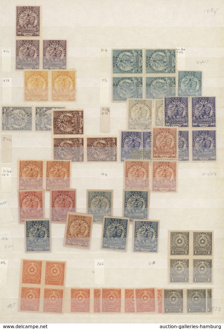 Paraguay: 1880/1900 (ca.), Comprehensive Collection/accumulation Of Mainly The "Lion" Issues, Also O - Paraguay