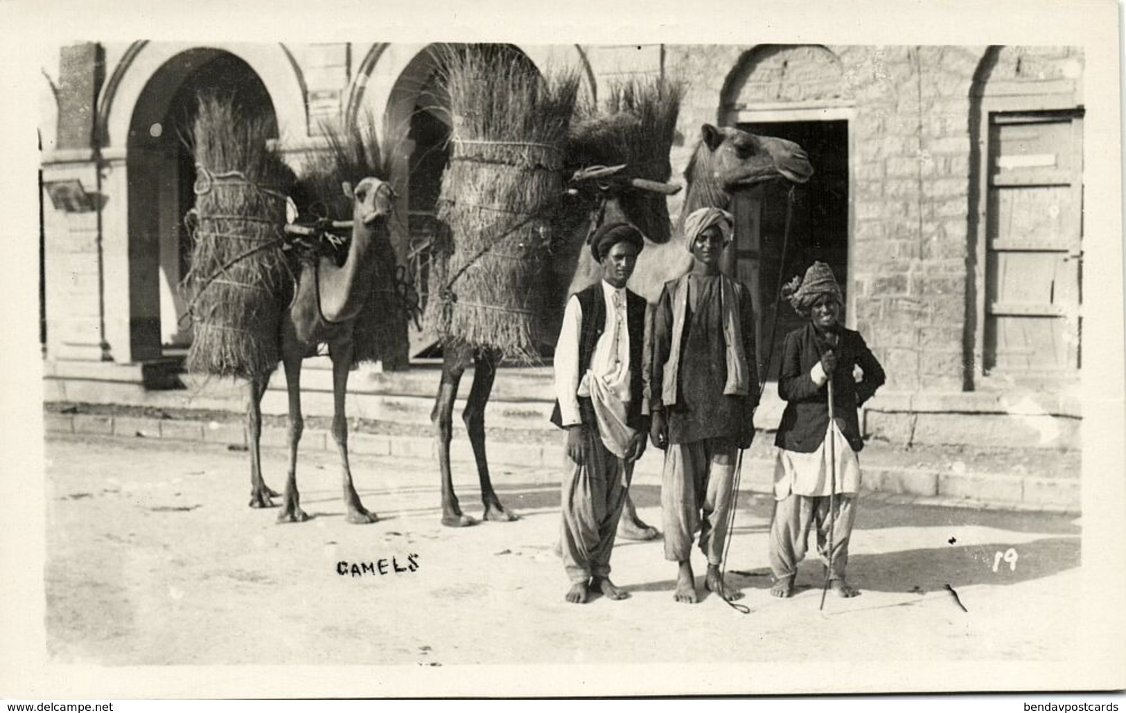 Pakistan, KARACHI, Camel With Hay (1950s) RPPC Postcard - Pakistan