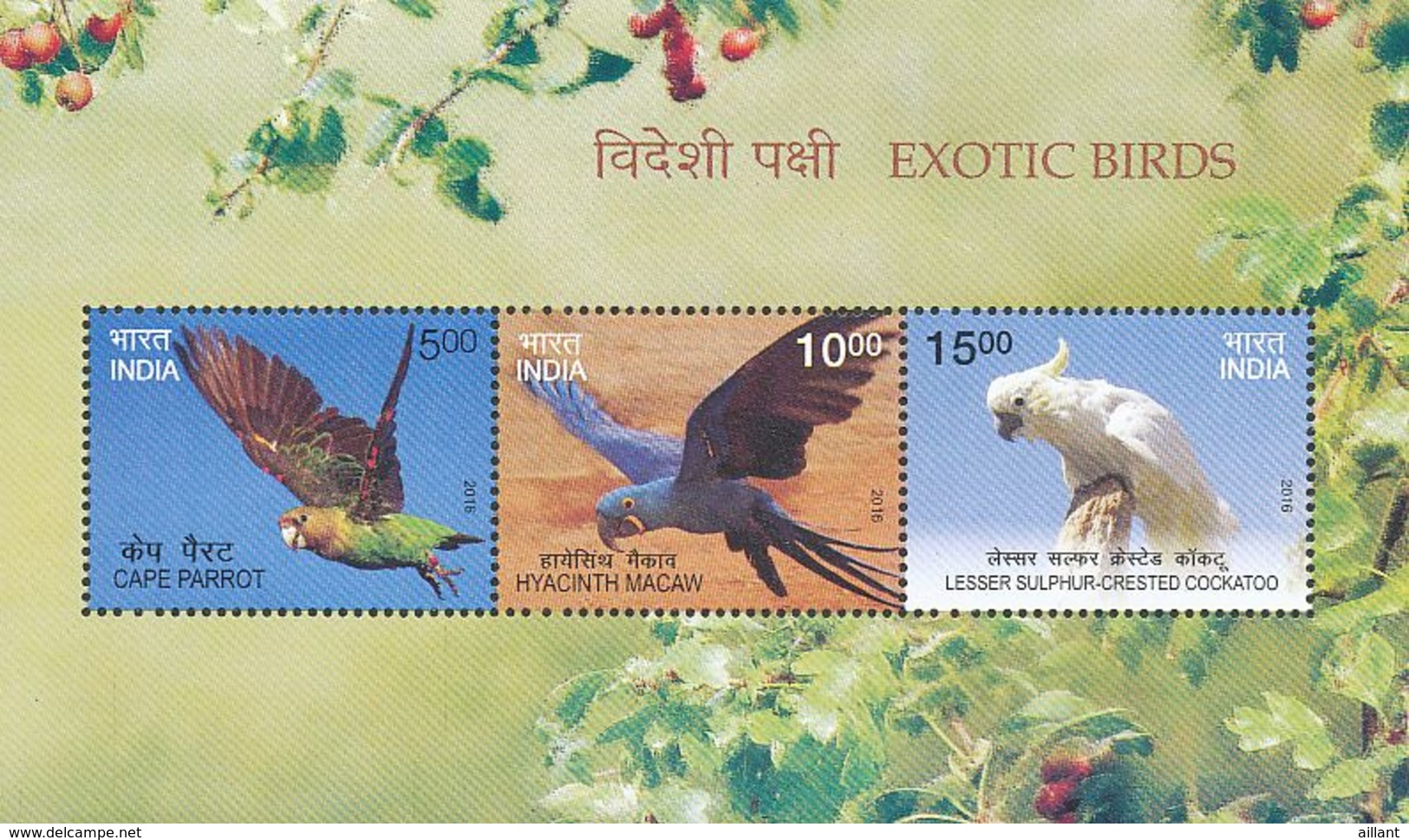 Inde. India. 2016. Perroquets Parrots; Minisheet - Perroquets & Tropicaux