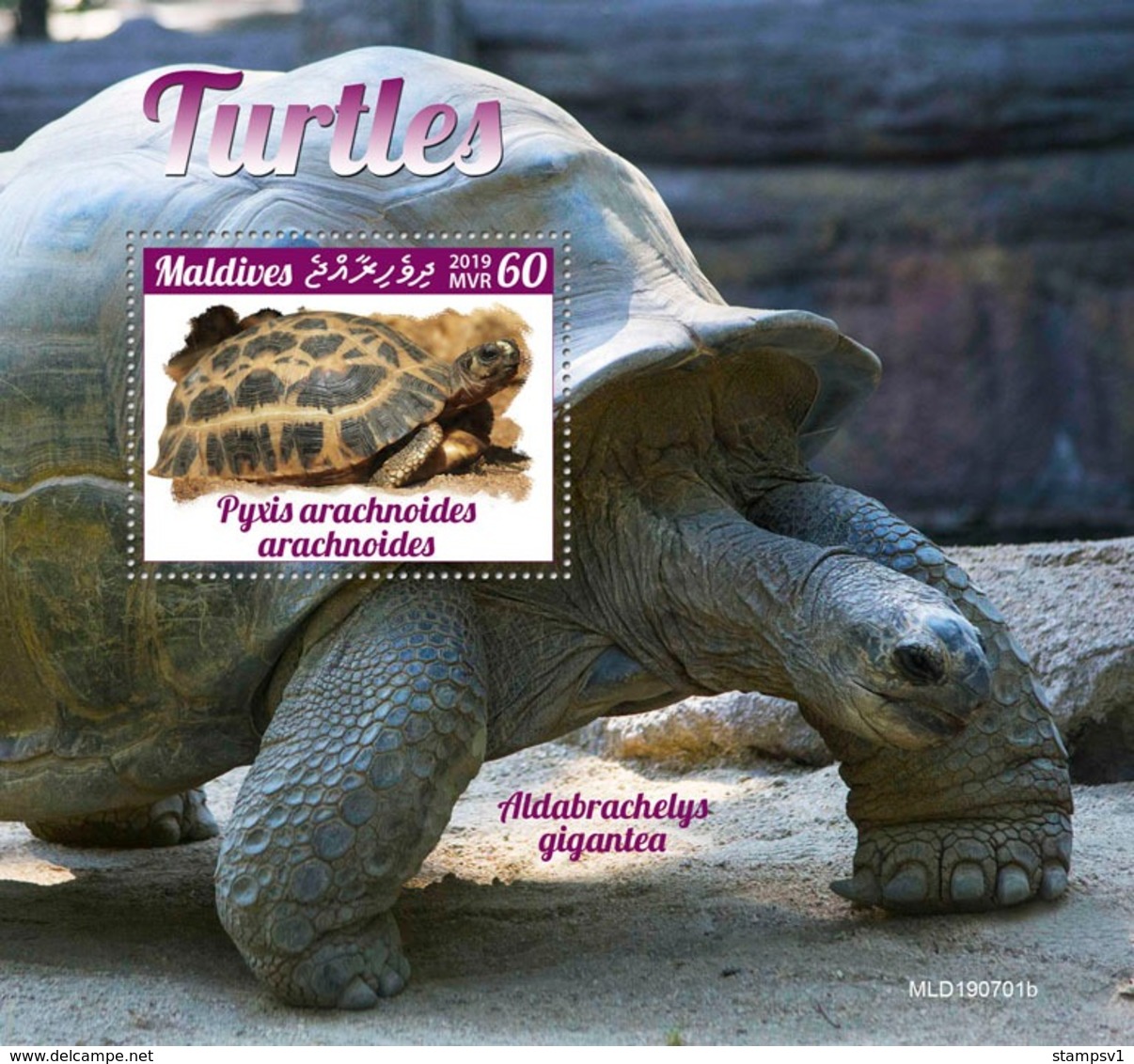 Maldives. 2019 Turtles. (0701b)  OFFICIAL ISSUE - Tortues