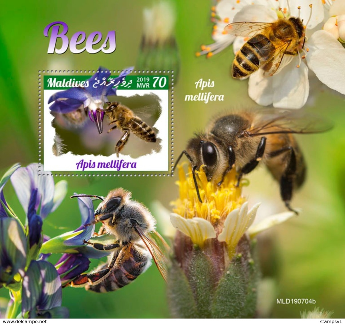 Maldives. 2019 Bees. (0704b)  OFFICIAL ISSUE - Abejas