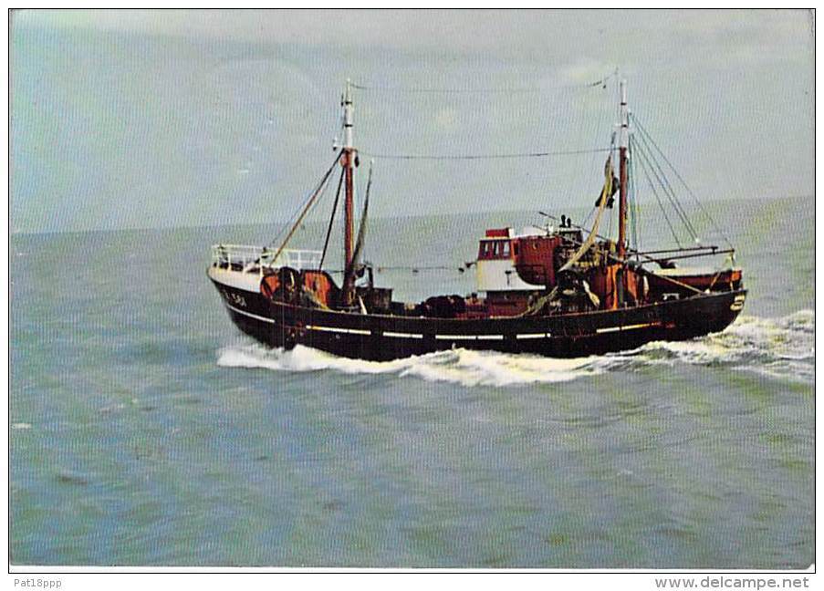 BATEAU DE PECHE : Retour De Pêche - Bon Plan Petit Chalutier ( Fishing Boat Trawler Fischerboot ) - Pêche