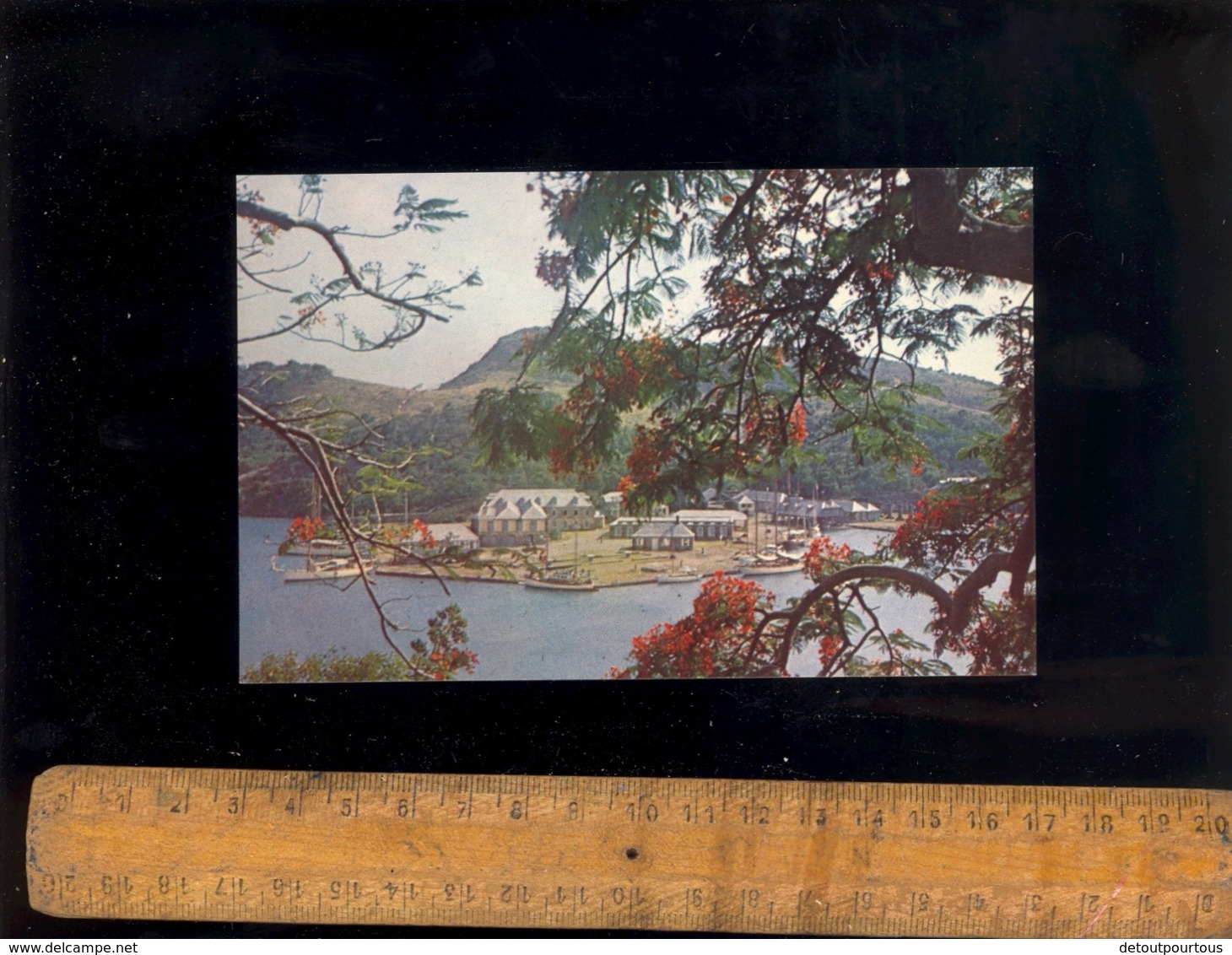 ANTIGUA West Indies : The Dockyards As Seen From Clarence House With Lamboyant Trees - Antigua En Barbuda