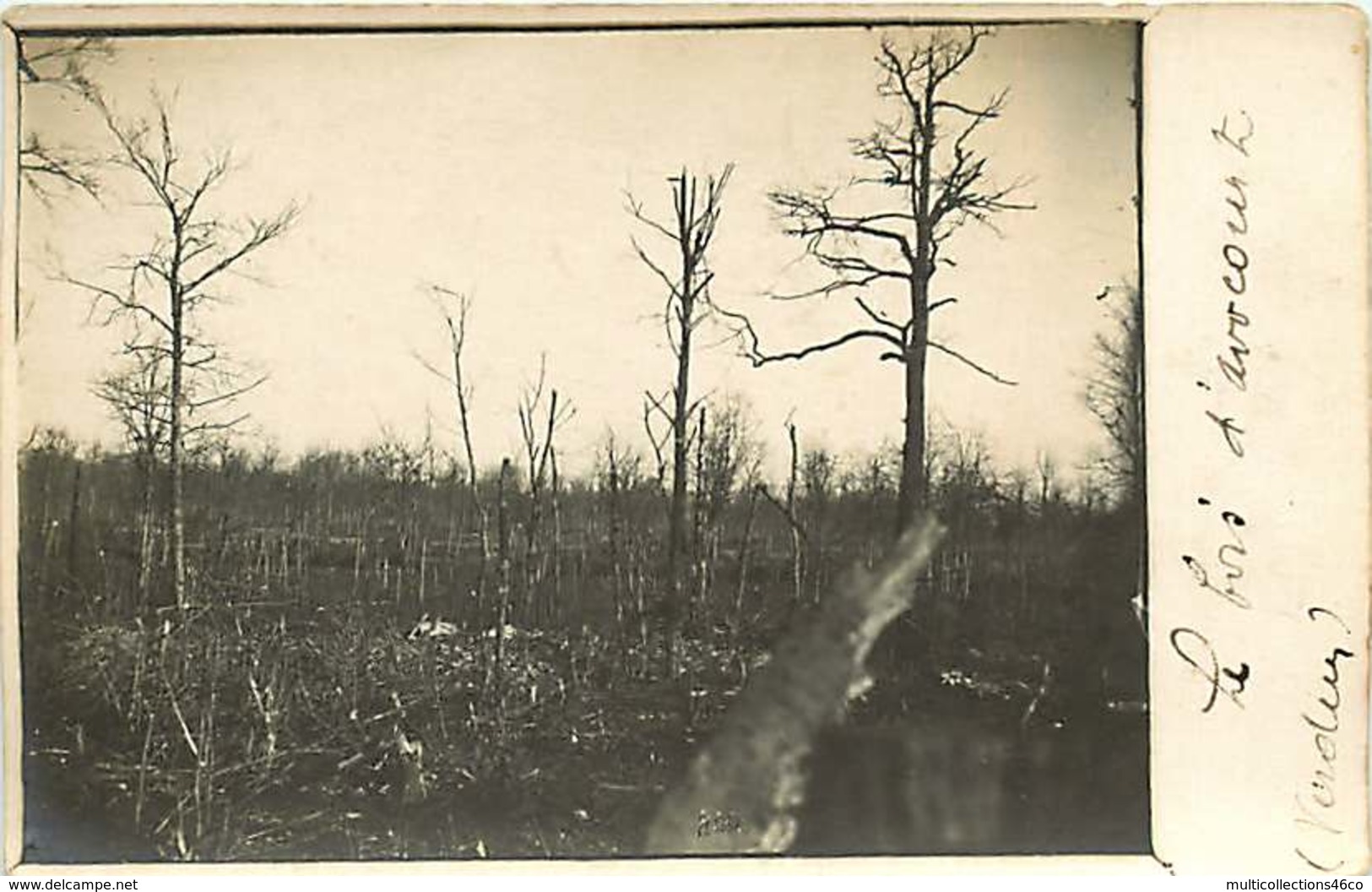 231019 - CARTE PHOTO GUERRE 1914 18 - AVOCOURT Le Bois - Bataille De Verdun - Other & Unclassified