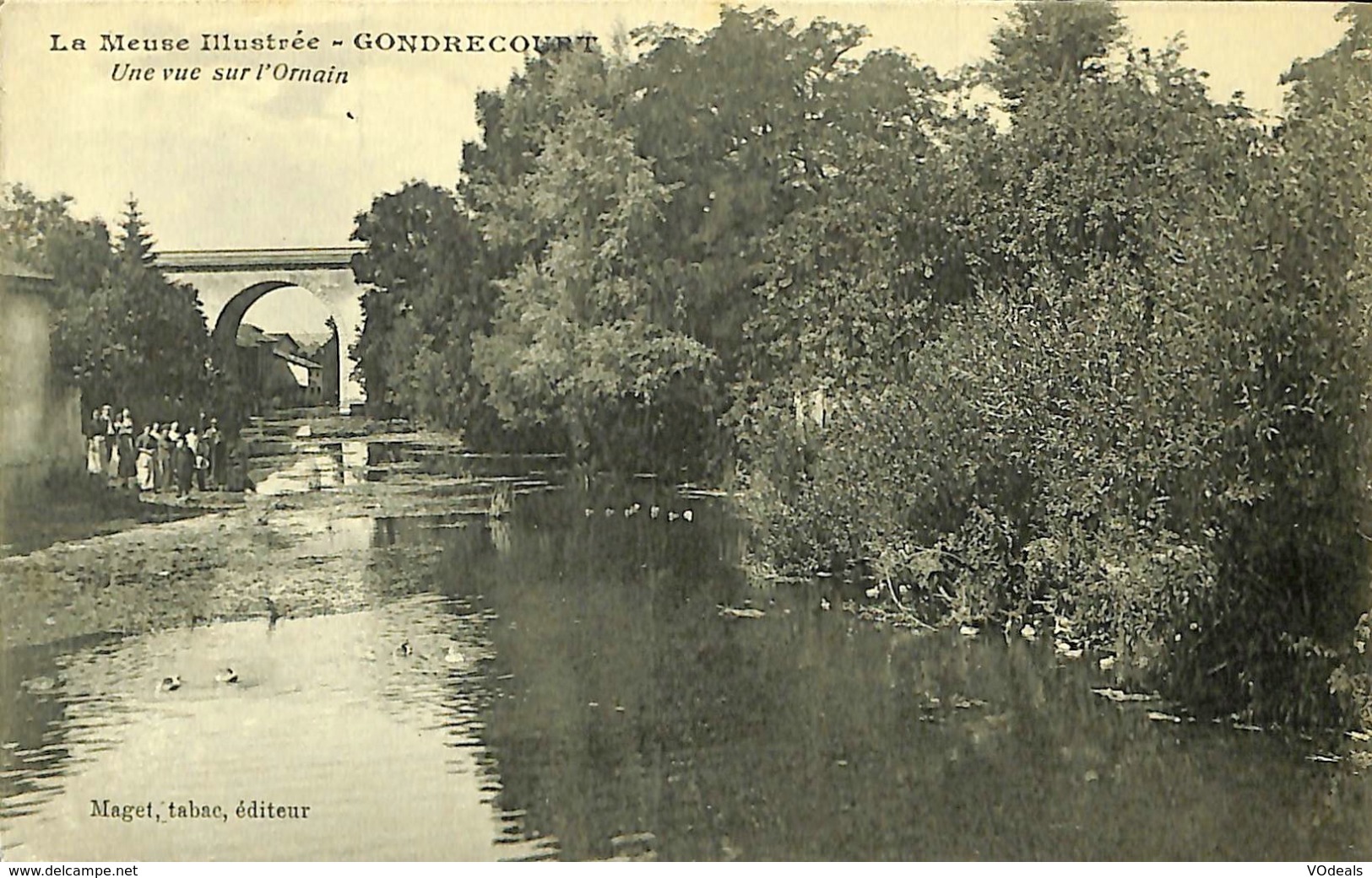 CPA - France - (55) Meuse - Gondrecourt - Une Vue Sur L'Ornain - Gondrecourt Le Chateau