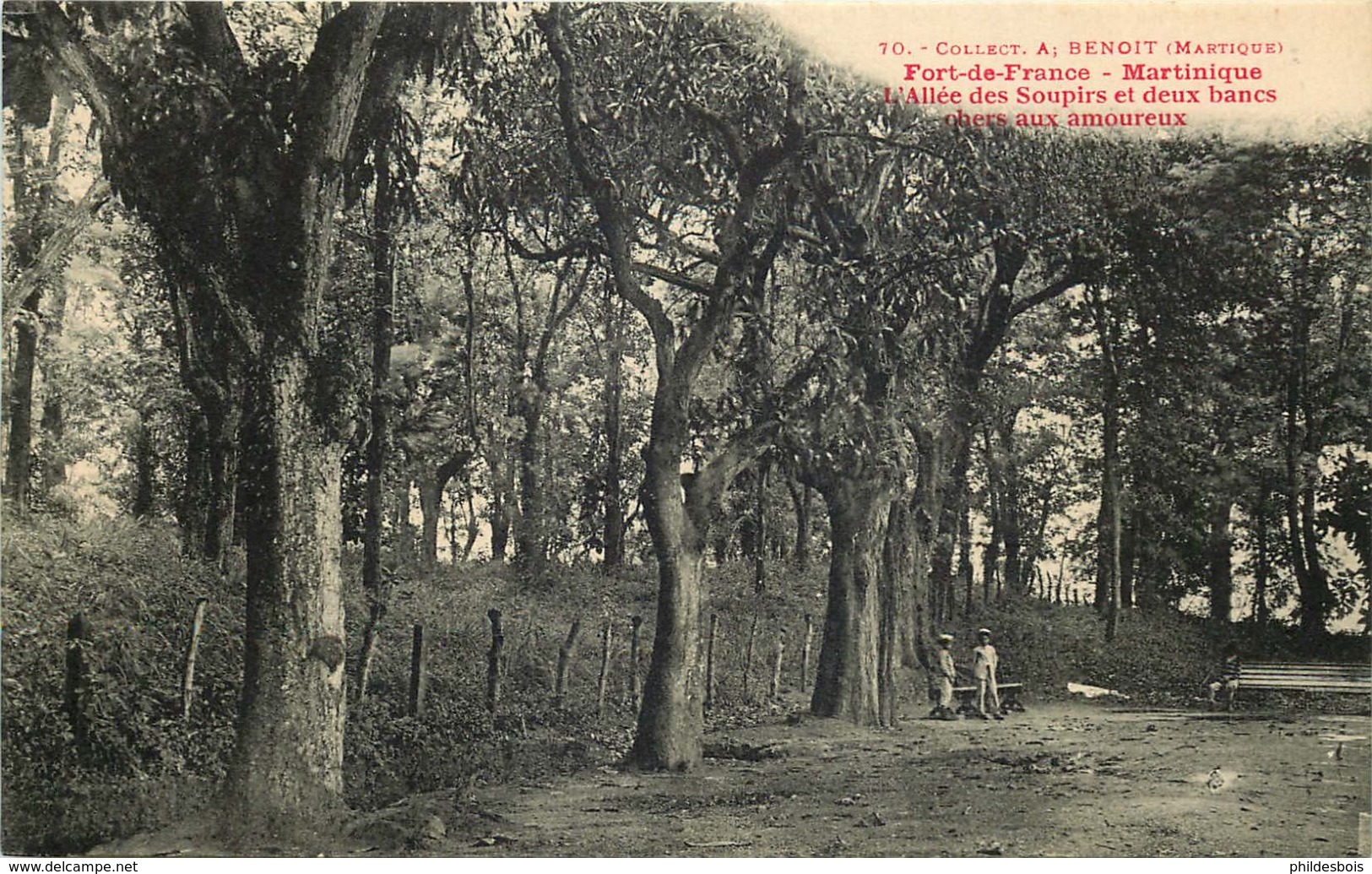 MARTINIQUE  FORT DE FRANCE Allée Des Soupirs  Collection A.BENOIT - Fort De France