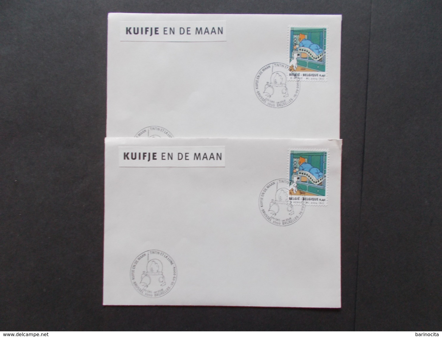 BELGIQUE  -   LOT DE  2  Enveloppes    Themes  De La BD  TINTIN  Année 2004  Du N° 3251  ( 42 ) - Cartes Souvenir – Emissions Communes [HK]