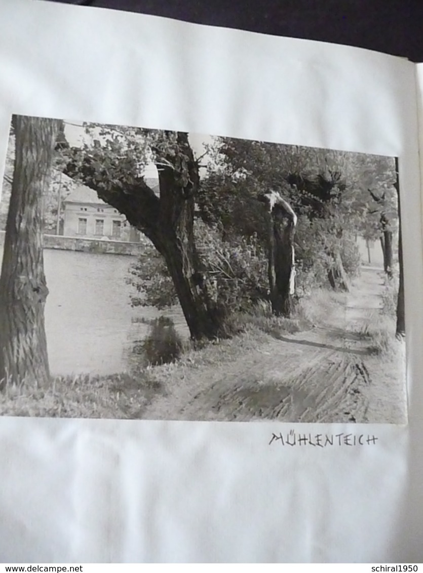 Aus der Heimat der Familie Haberland Oschersleben Schermcke Hornhausen 1959 mit vielen großen Fotos