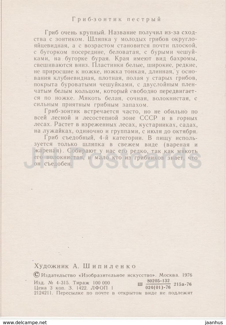 Parasol Mushroom - Macrolepiota Procera - Illustration By A. Shipilenko - Mushrooms - 1976 - Russia USSR - Unused - Pilze