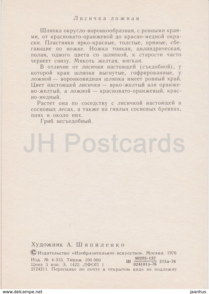 False Chanterelle - Hygrophoropsis Aurantiaca - Illustration By A. Shipilenko - Mushrooms - 1976 - Russia USSR - Unused - Champignons