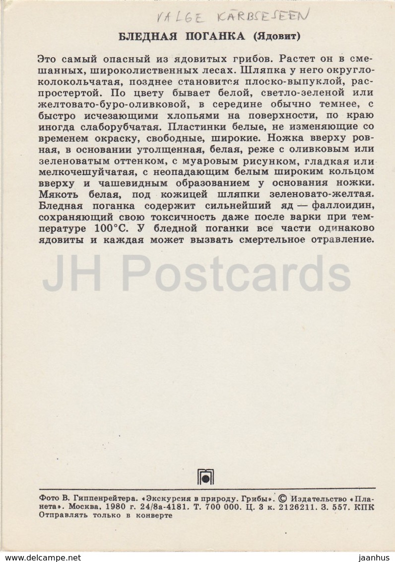 Death Cap Mushroom - Amanita Phalloides - Mushrooms - 1980 - Russia USSR - Unused - Funghi