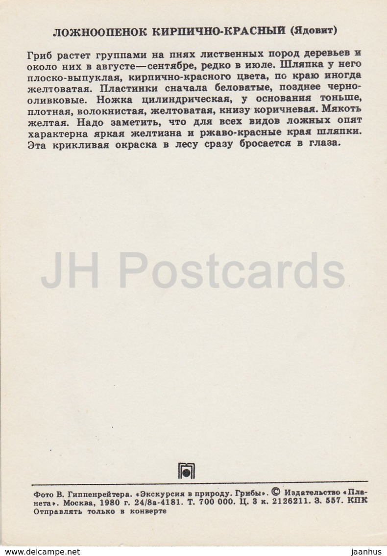 Brick Tuft Mushroom - Hypholoma Lateritium - Mushrooms - 1980 - Russia USSR - Unused - Funghi