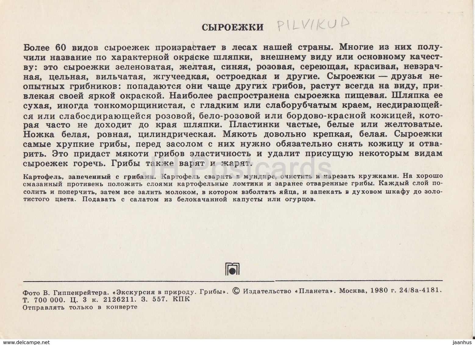 Russula - Mushrooms - 1980 - Russia USSR - Unused - Pilze