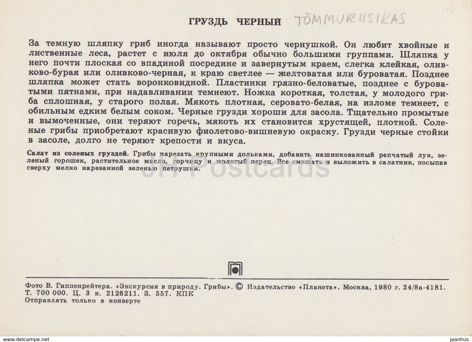 Ugly Milk-cap Mushroom - Lactarius Turpis - Mushrooms - 1980 - Russia USSR - Unused - Champignons