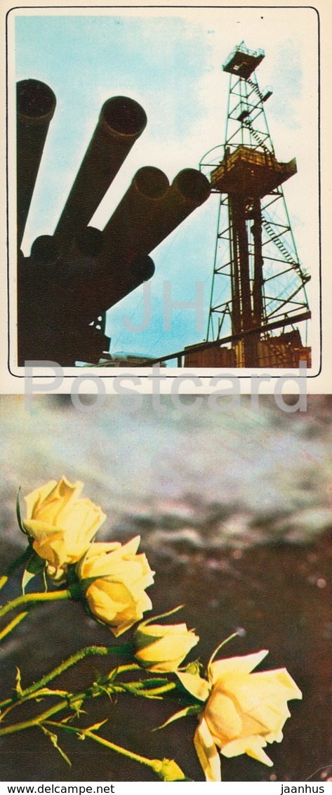 Neftyanye Kamni - Neft Daslari - New Oil Rig - Flowers - 1975 - Azerbaijan USSR - Unused - Aserbaidschan