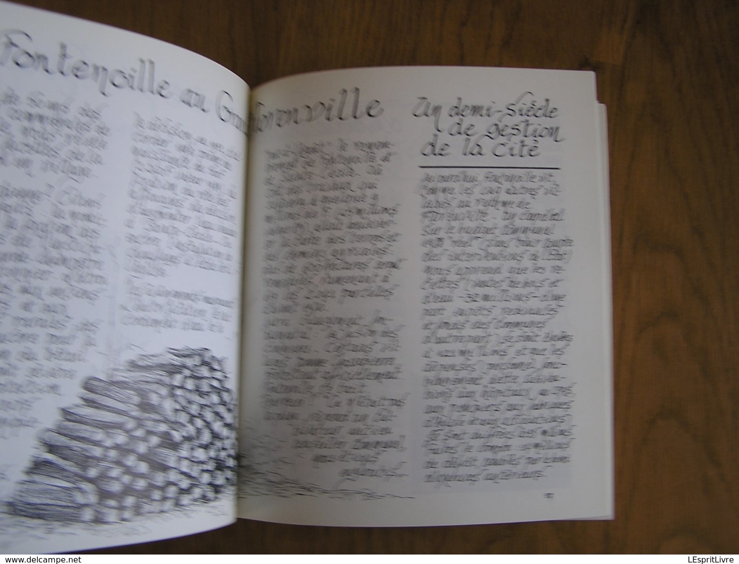 UN VILLAGE RACONTE SA GAUME Régionalisme Fontenoille Chassepierre Orval Muno Lacuisine Ste Cécile Florenville