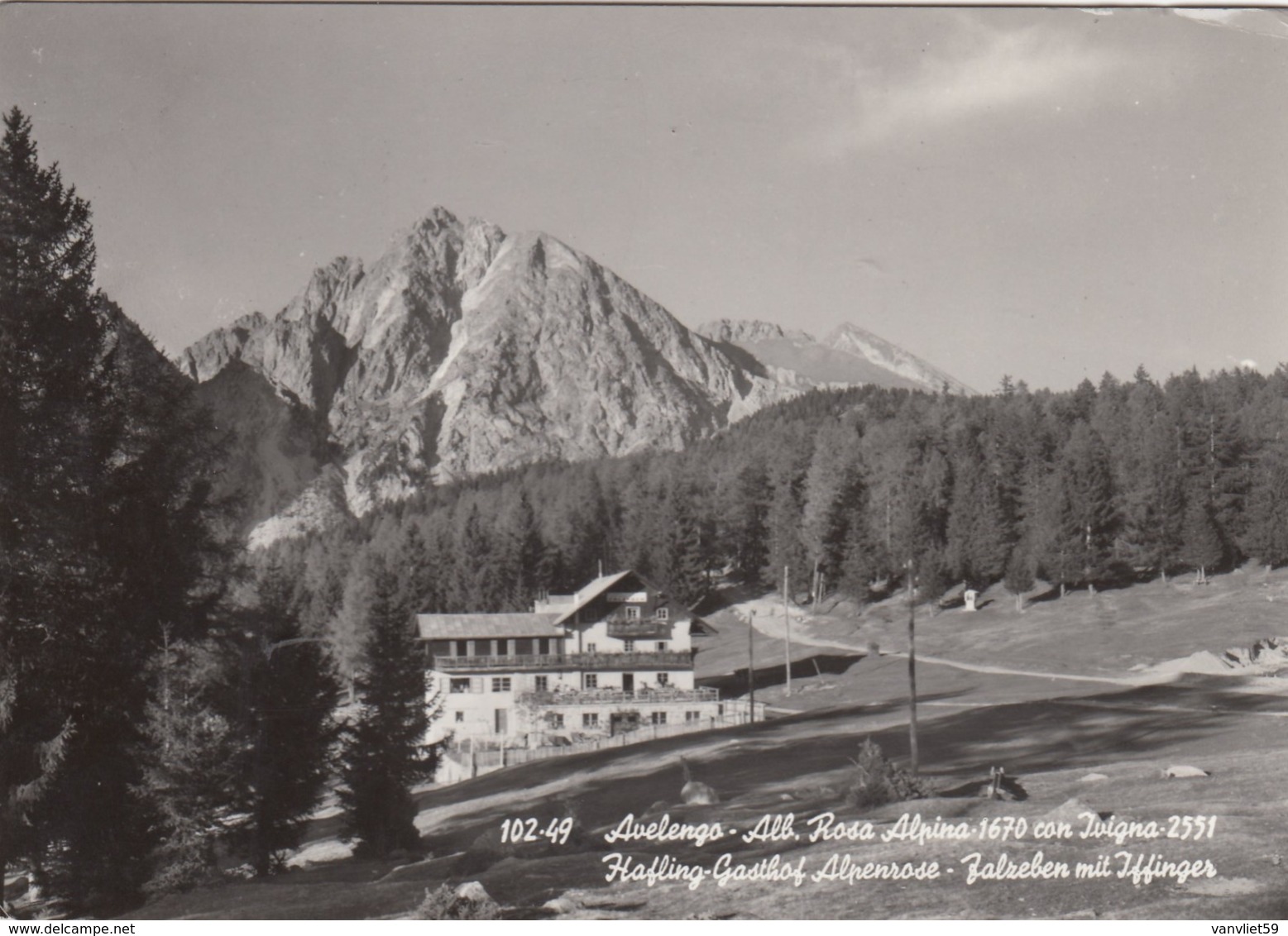 AVELENGO-MERANO-ALBERGO=ROSA ALPINA=CARTOLINA VERA FOTOGRAFIA- VIAGGIATA  NEL 1964 - Merano