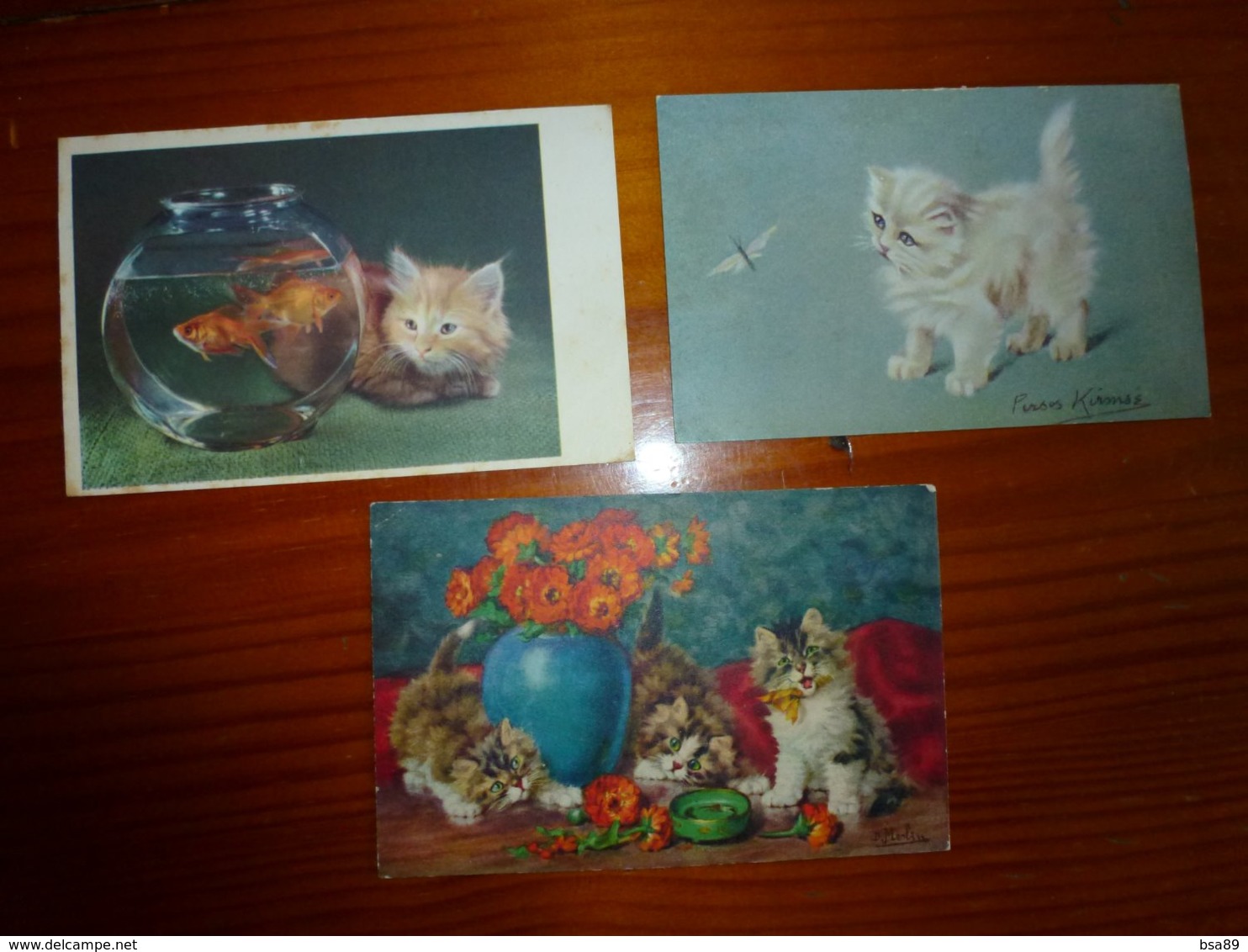 LOT DE 1 CPA SPECIALES CHATS , TOUTES SCANNEES, VOIR SCAN - 5 - 99 Postcards