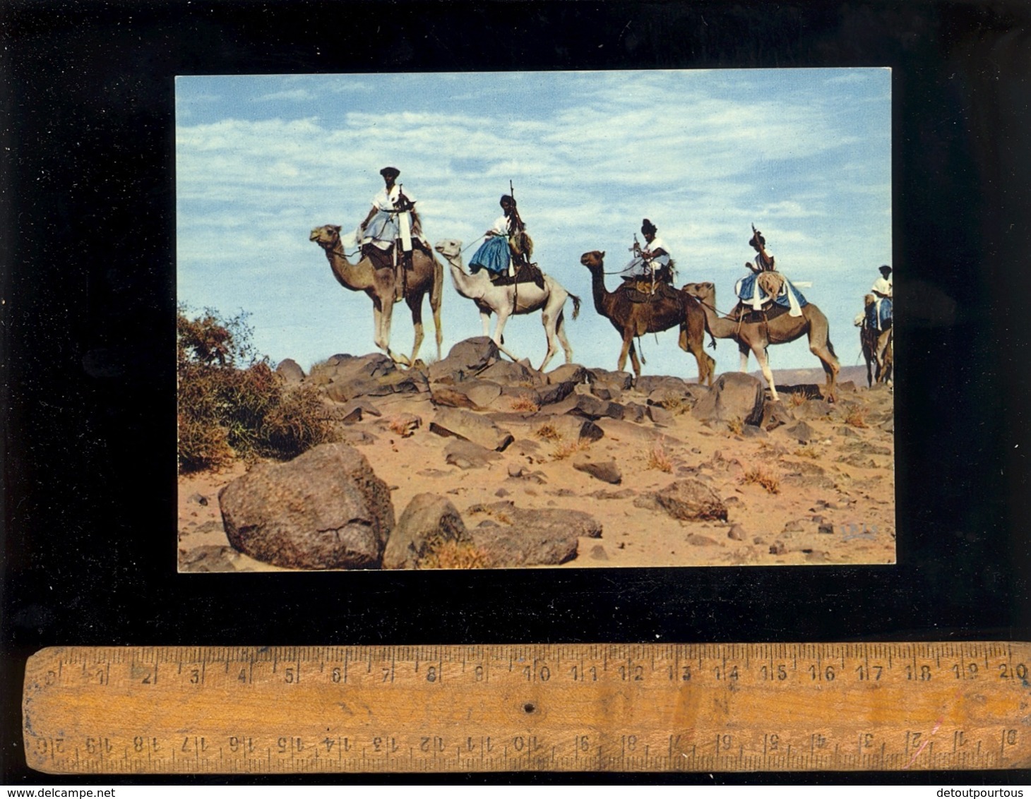 République Islamique De MAURITANIE : Méhariste Dans Le Désert  Chameaux Chameau Camel Méharistes - Mauritanie