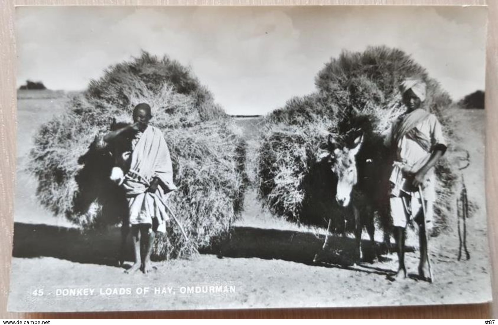 Sudan Donkey Loads Og Hay 1966 - Sudan