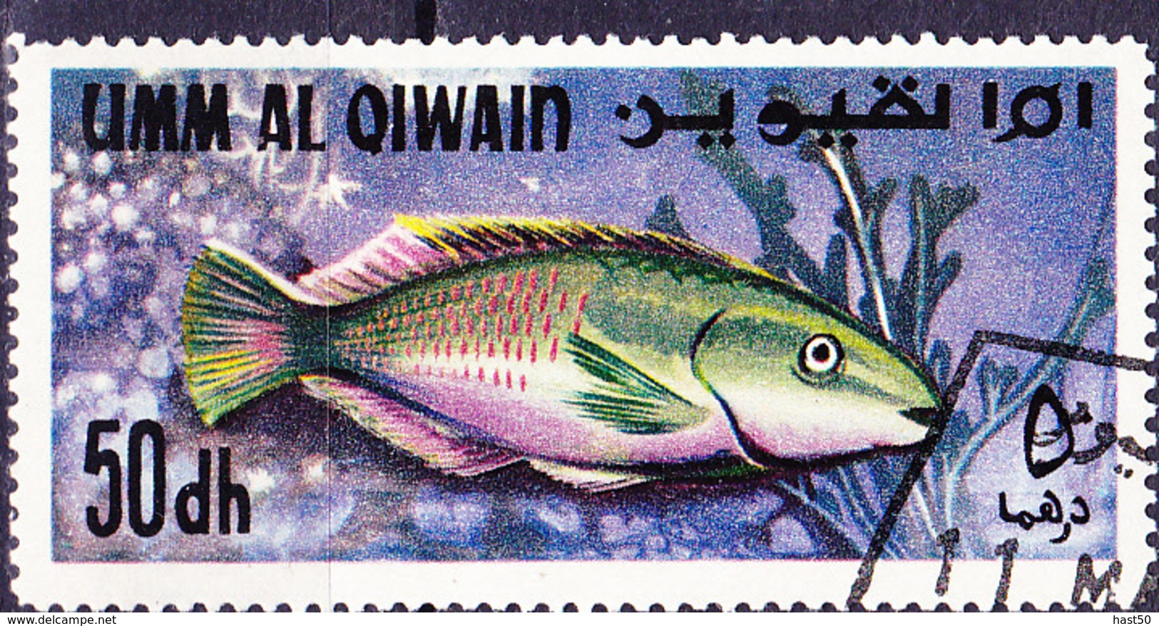 Umm Al-Kaiwain - Papageifisch (Scarus Sp.) (MiNr: 181) 1967 - Gest Used Obl - Umm Al-Qaiwain