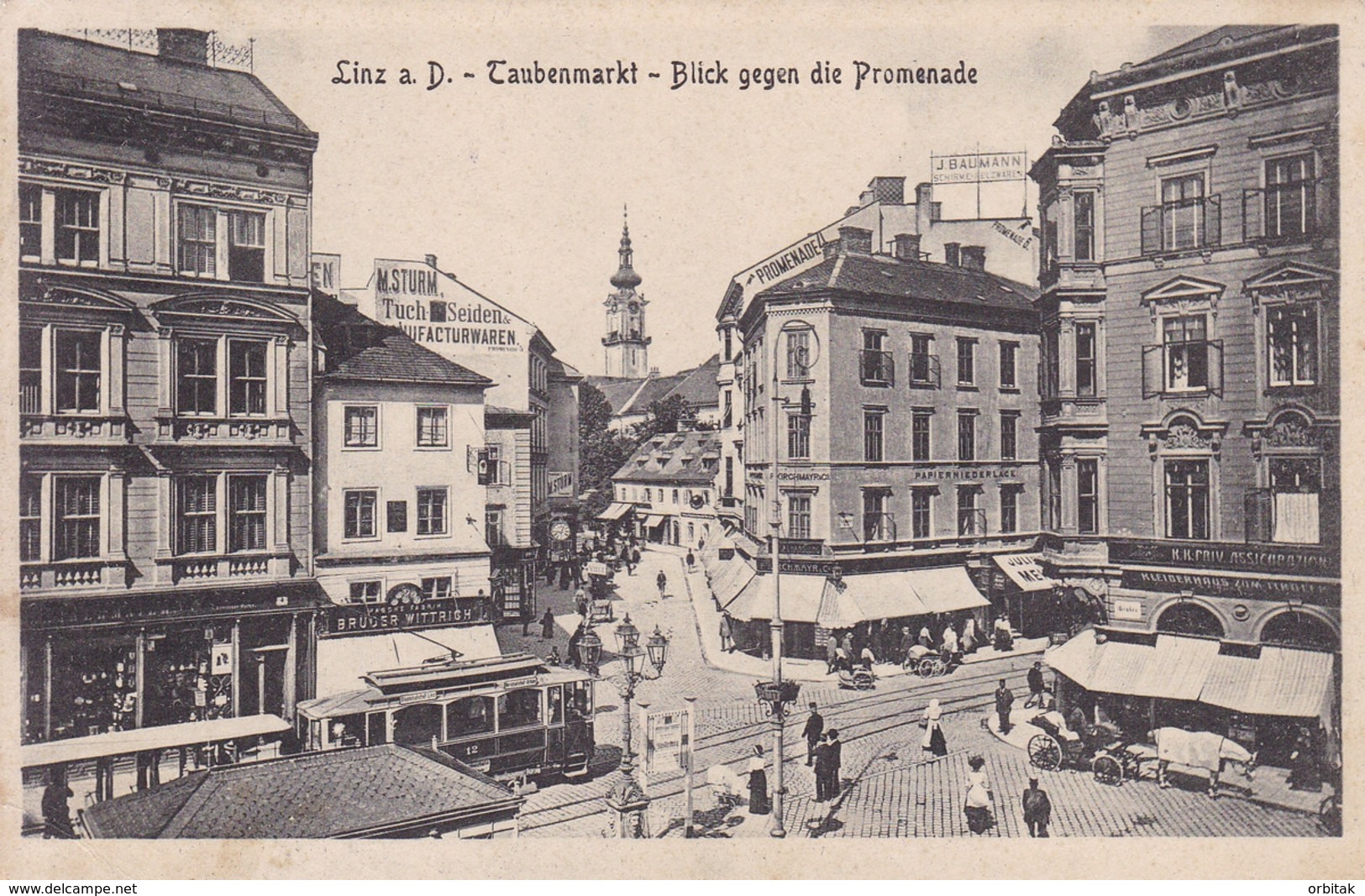 Linz * Taubenmarkt, Blick Gegen Die Promenade, Tram, Geschäfte, Pferd * Österreich * AK1564 - Linz