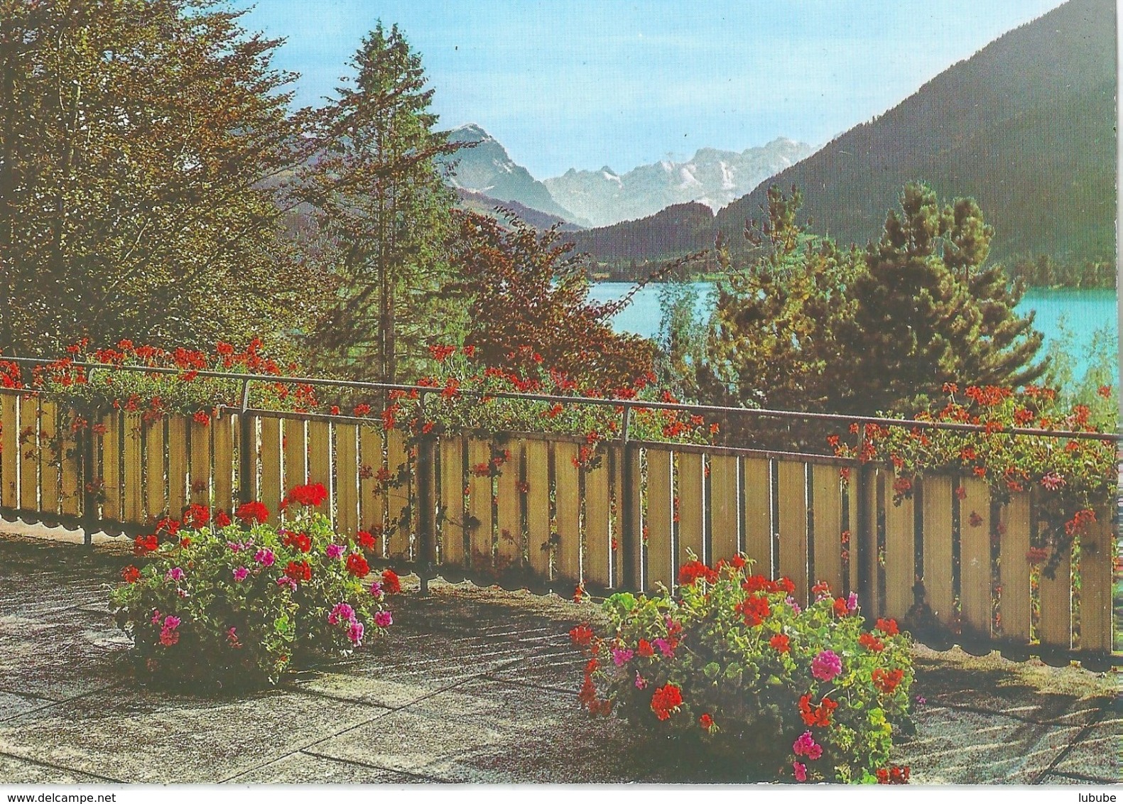 Oberägeri - Blick Vom Kurhaus Ländli Gegen Die Alpen         Ca. 1980 - Oberägeri