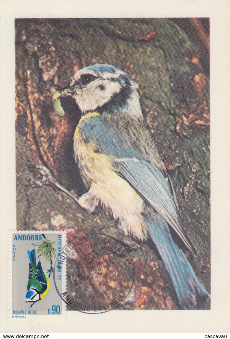 Carte  Maximum  1er  Jour  ANDORRE   Protection  De  La  Nature  : Oiseau  :  La  Mésange  Bleue  1973 - Cartas Máxima