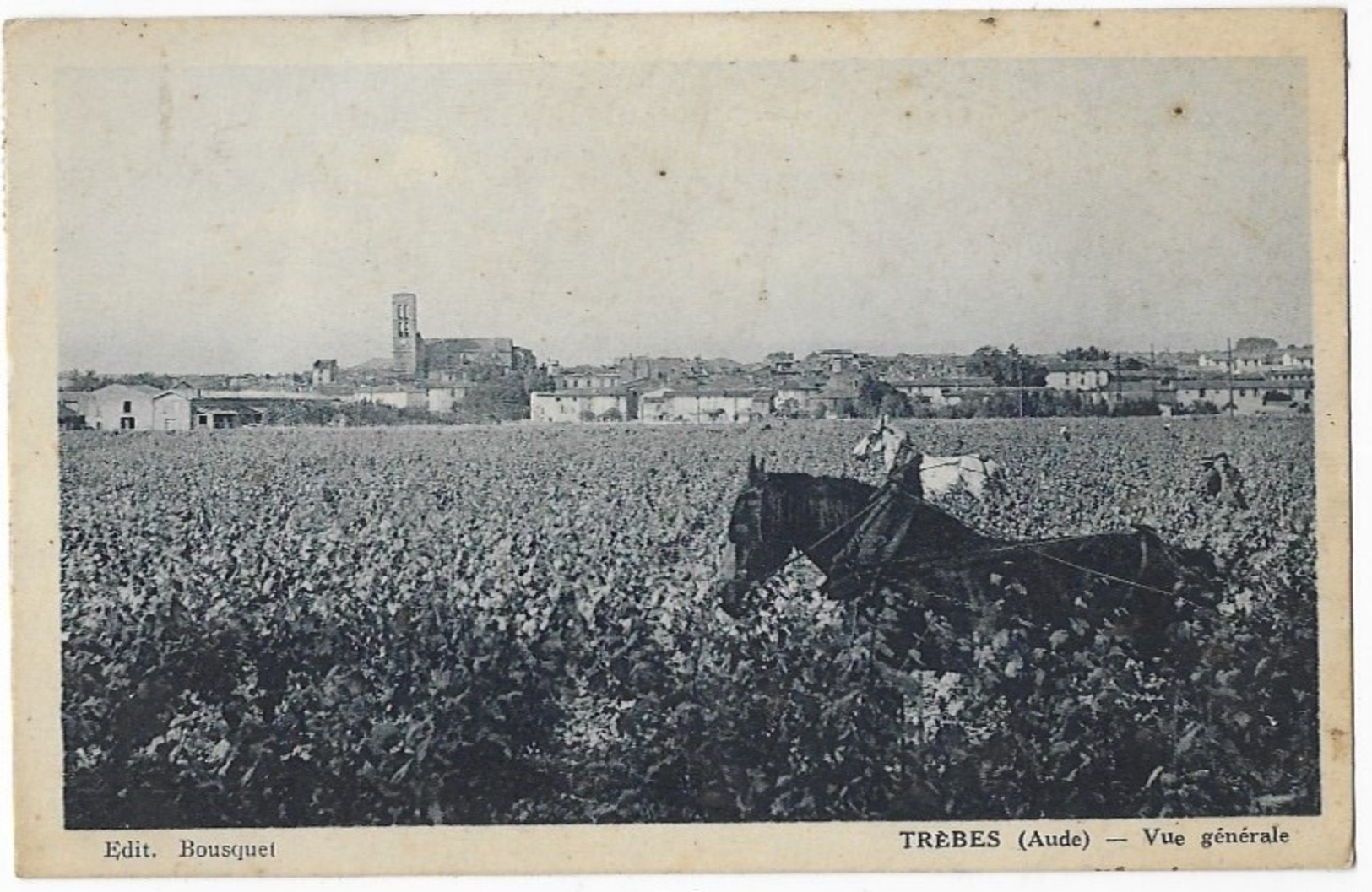 Trèbes Vue Générale - Autres & Non Classés