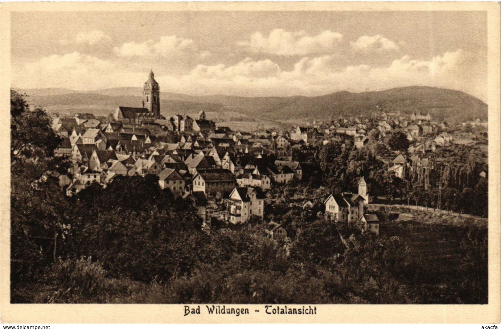 CPA AK Bad Wildungen Totalansicht GERMANY (899483) - Bad Wildungen