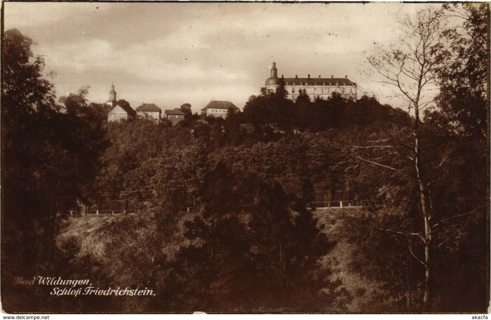 CPA AK Bad Wildungen Schloss Friedrichstein GERMANY (899496) - Bad Wildungen