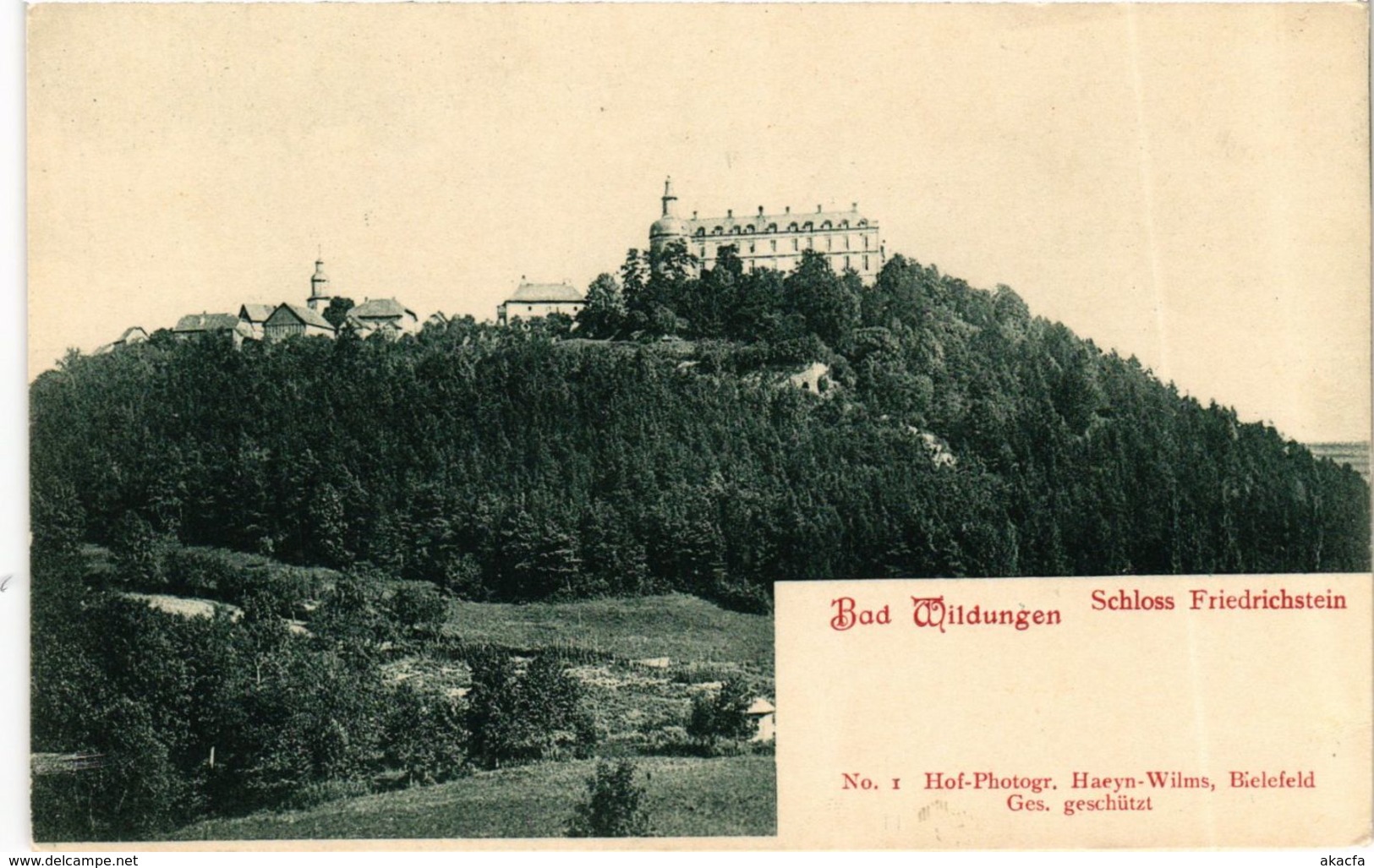 CPA AK Bad Wildungen Schloss Friedrichstein GERMANY (899536) - Bad Wildungen