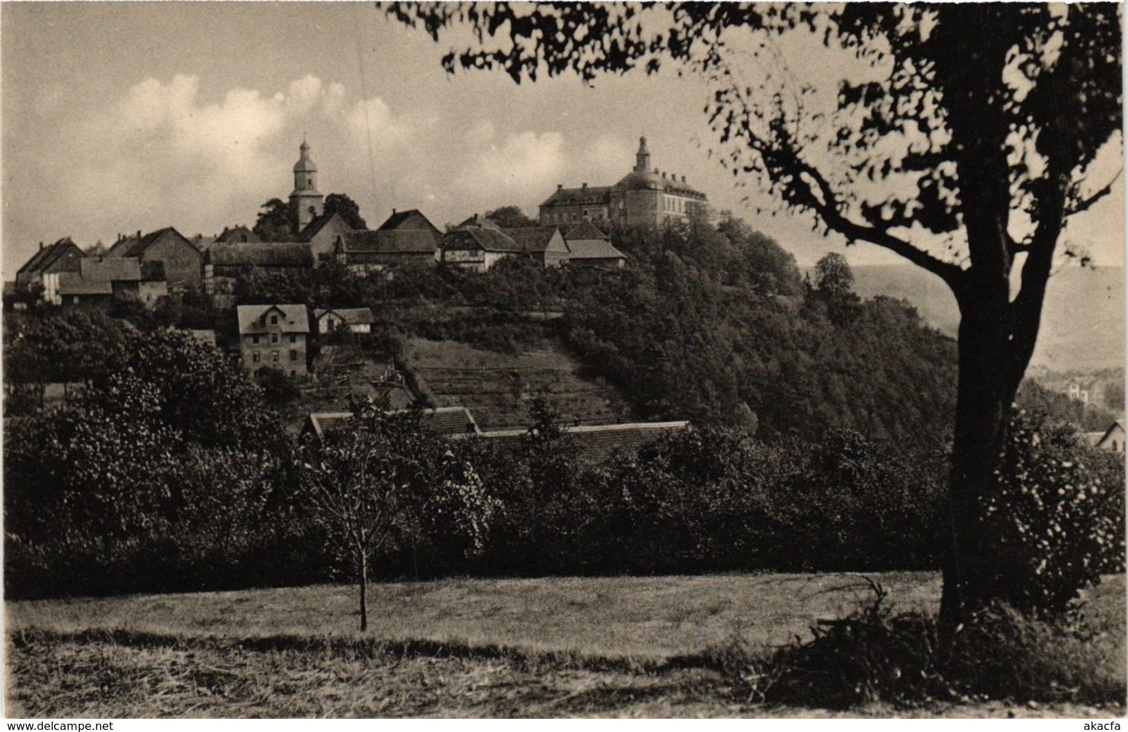 CPA AK Bad Wildungen Blick Auf Schloss Friedrichstein GERMANY (899550) - Bad Wildungen