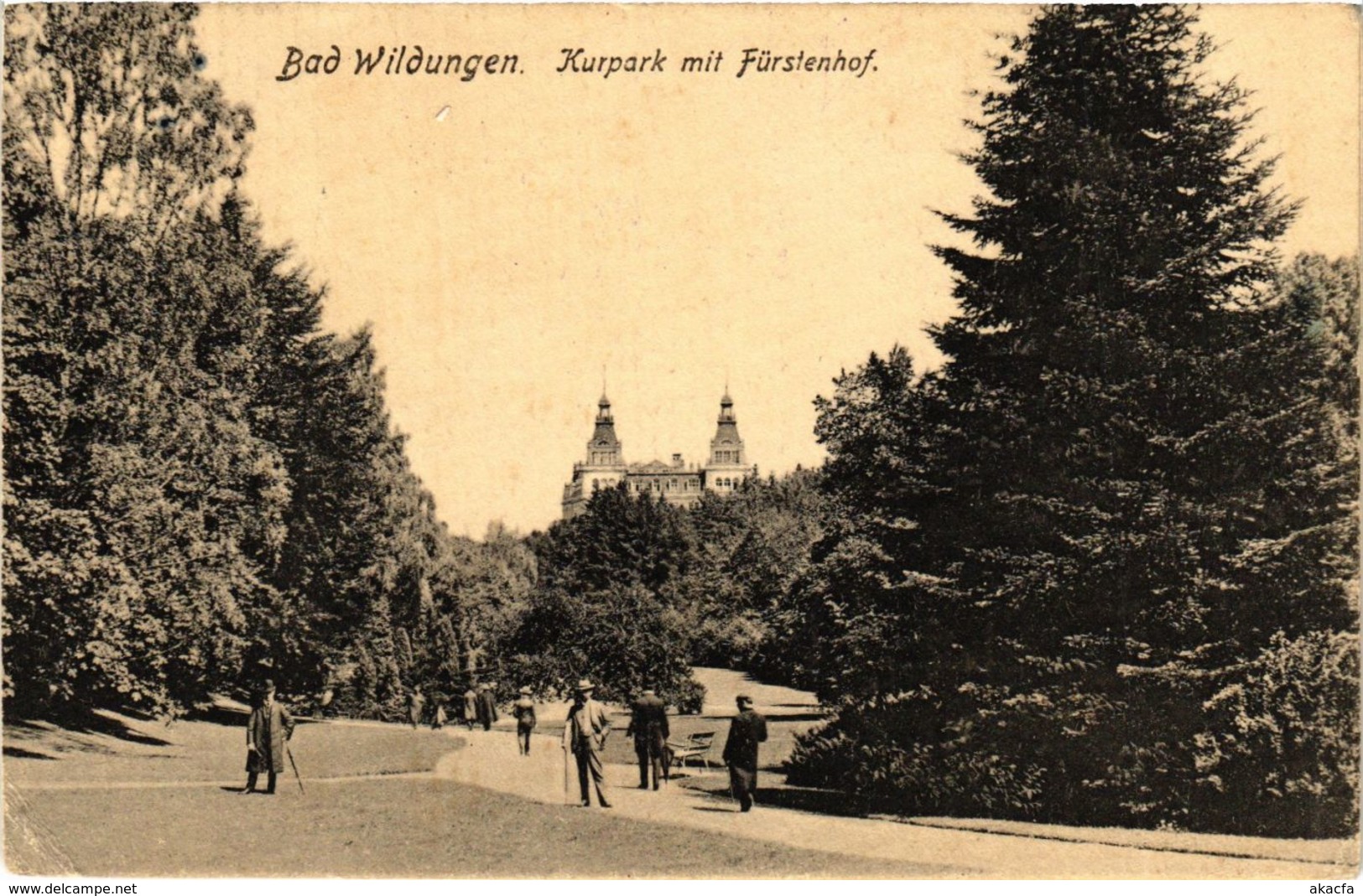 CPA AK Bad Wildungen Kurpark Mit Furstenhof GERMANY (899587) - Bad Wildungen