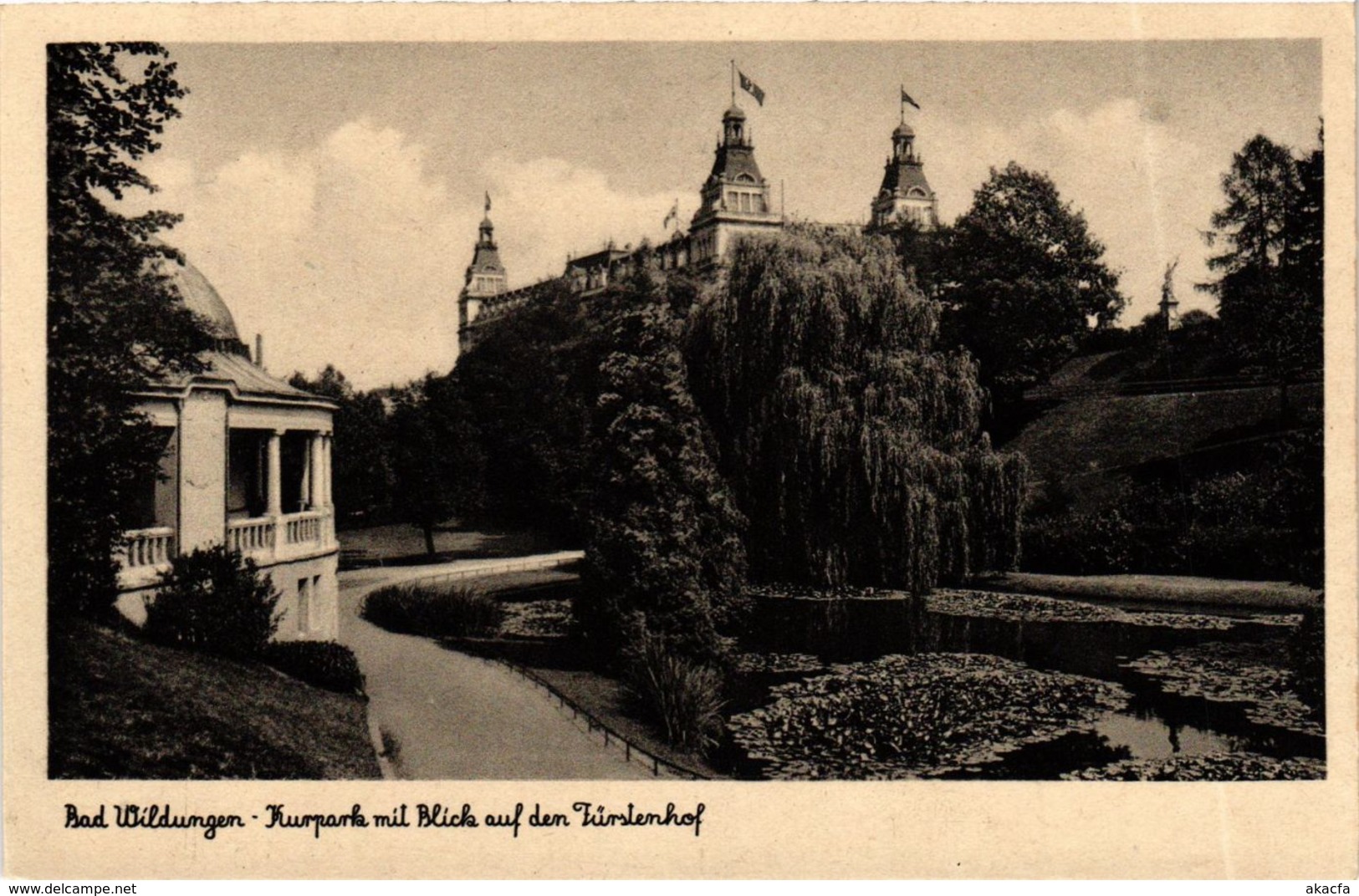 CPA AK Bad Wildungen Kurpark GERMANY (899592) - Bad Wildungen