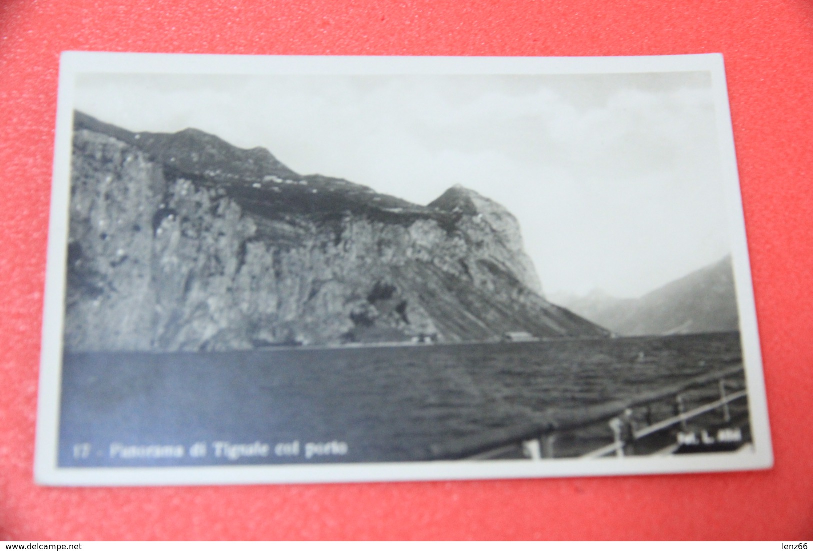 Lago Di Garda Brescia Tignale Veduta Da Piroscafo O Vapore N. 17 Foto Alici NV - Brescia