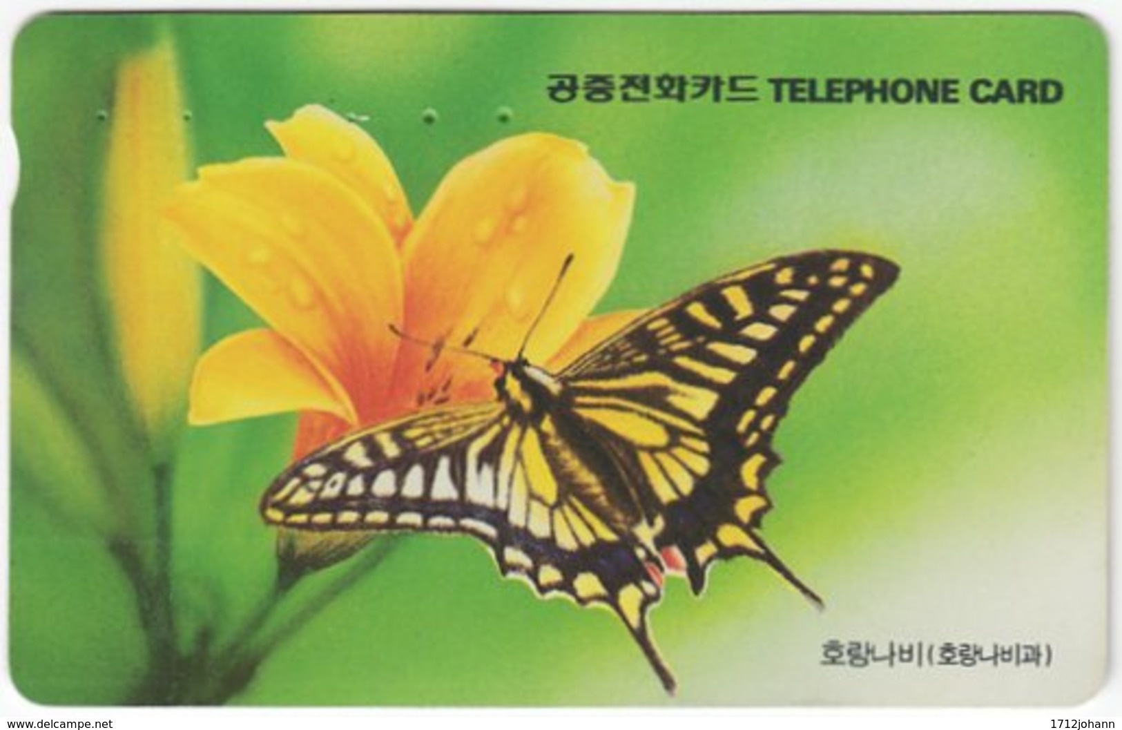 SOUTH KOREA A-593 Magnetic Telecom - Animal, Grasshopper - Used - Corea Del Sud