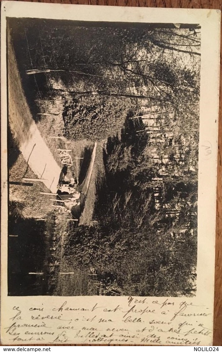 Cpa, CARTE PHOTO, Environs De Tulle (19, Corrèze)), Postée De PEYRELEVADE 1905?, (Carte Postale Sensible VELOX) - Autres & Non Classés