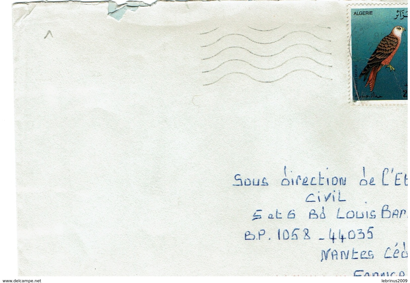 ALGERIE - Faucon Seul Sur Lettre - Aquile & Rapaci Diurni