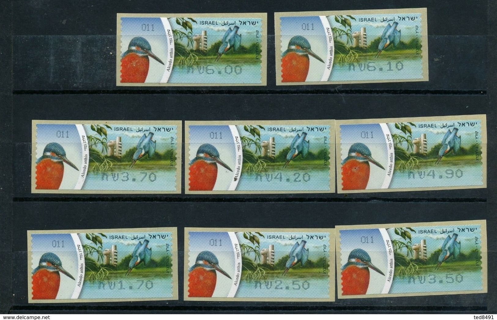 Israel 2010 - Birds, Kingfisher,  Mi ATM 73** - Franking Labels