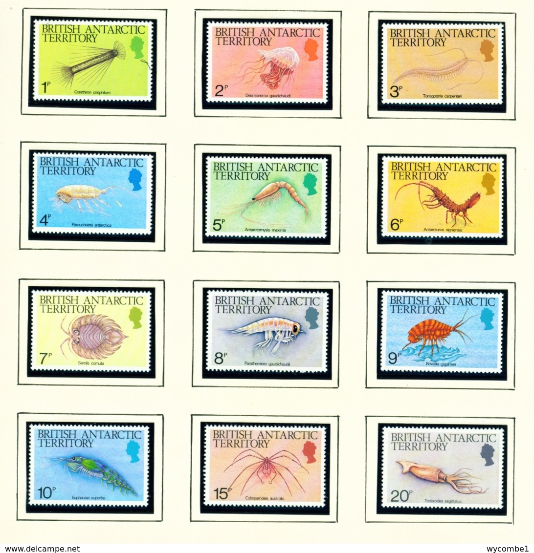 BRITISH ANTARCTIC TERRITORY - 1984 Marine Life Definitives Set Unmounted/Never Hinged Mint - Ungebraucht