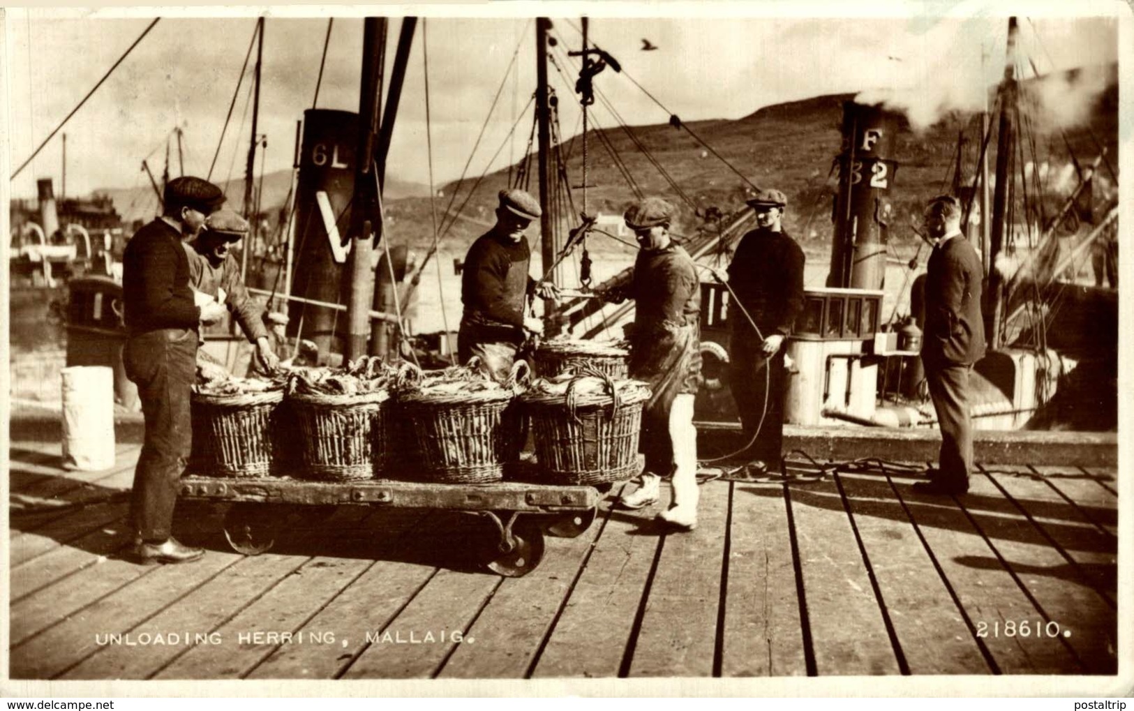 UNLOADING HERRING, MALLAIG - Pesca