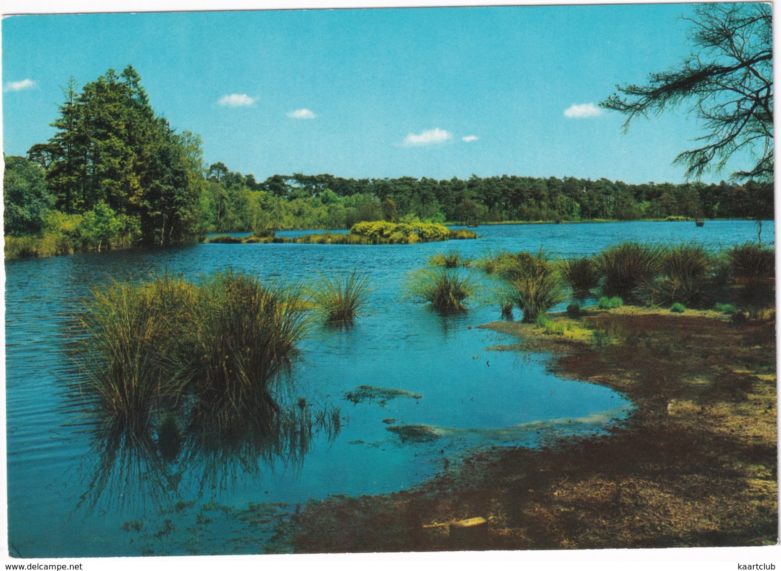 Lage Vuursche - Pluismeer - Baarn