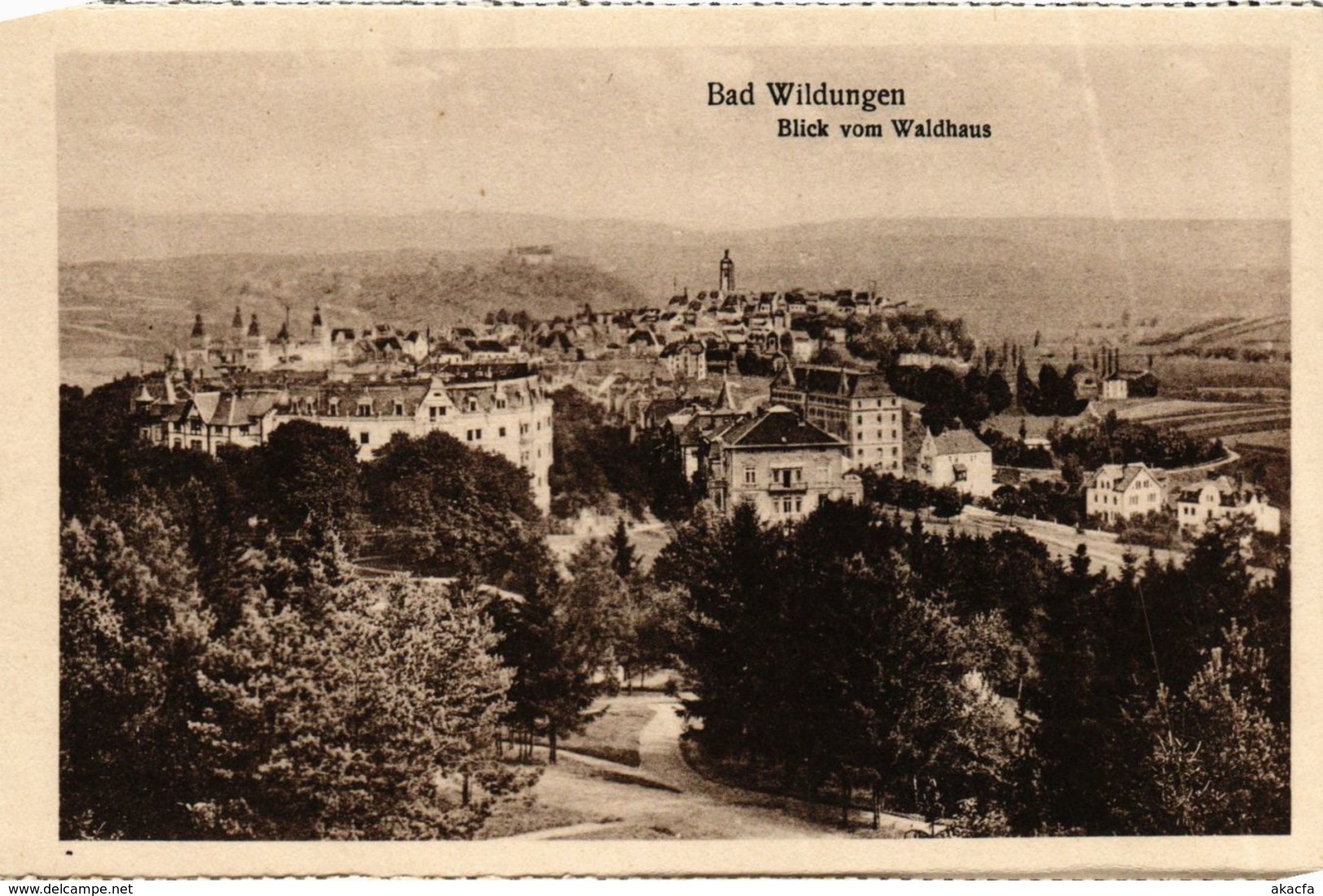 CPA AK Bad Wildungen Blick Vom Waldhaus GERMANY (899699) - Bad Wildungen